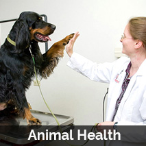 Animal Health care