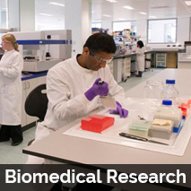 Bio Medical Research